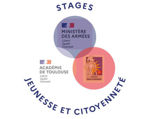 IMG-ILLU-RUBRIQUE-STAGE-CITOYENNETE_imagelarge.jpg